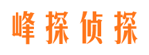 友谊捉小三公司